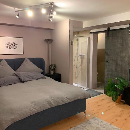 Top Studio Appartement im Grünen nah Phantasialand Brühl Exterior foto